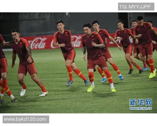 韩国足球明星平足球星崛起背后的努力与挑战揭示其独特魅力